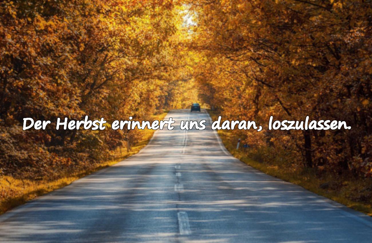 Sprüche über den Herbst