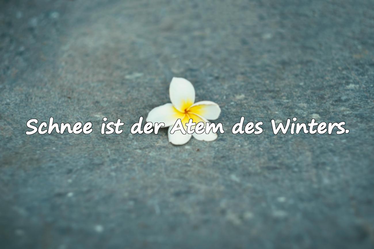 Sprüche über den Schnee