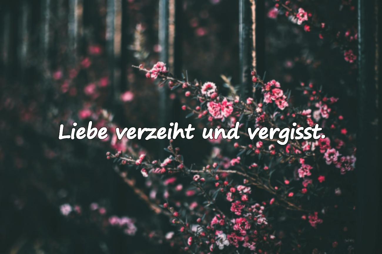 sprüche über die liebe