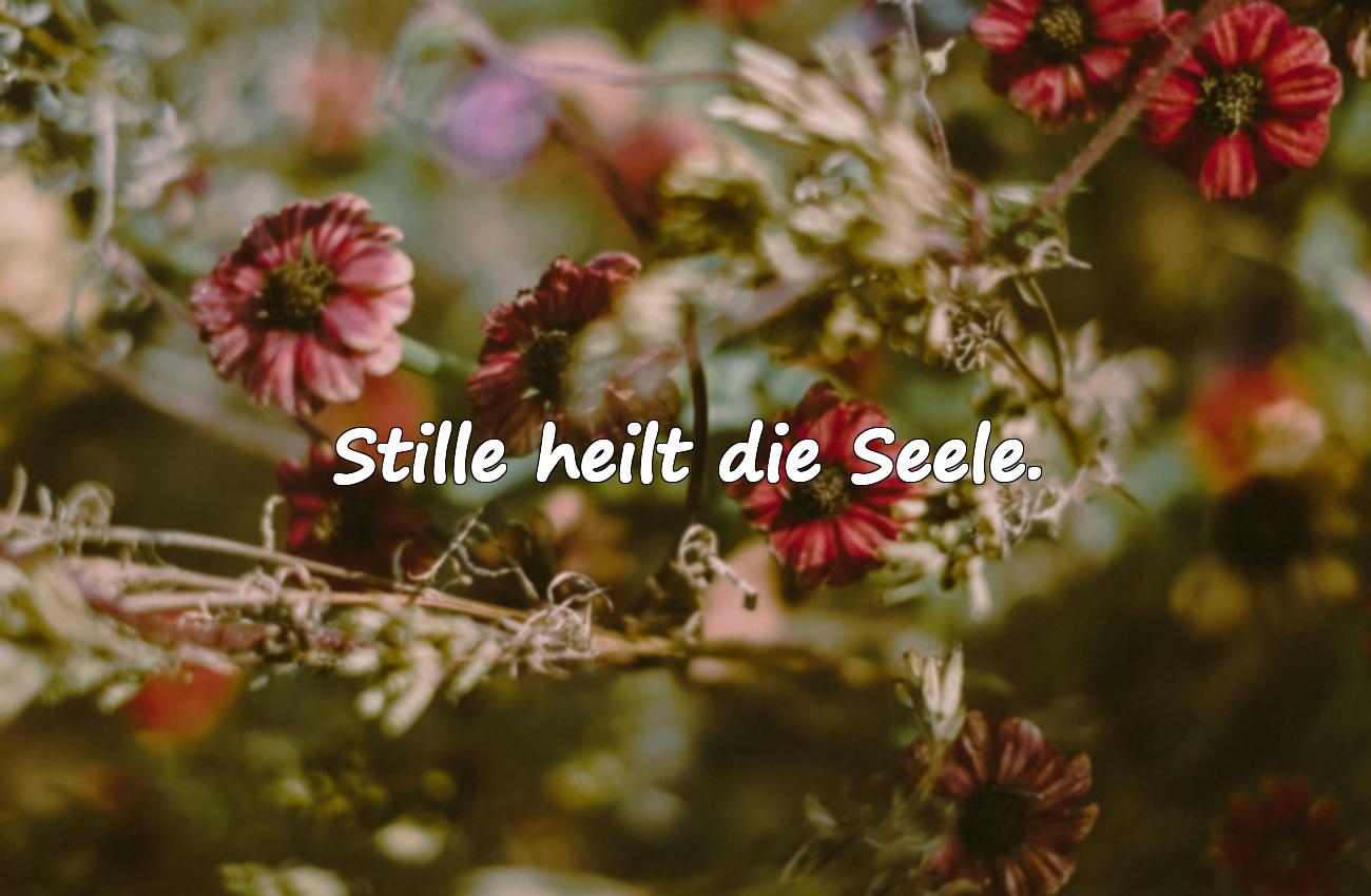 Sprüche über die Stille