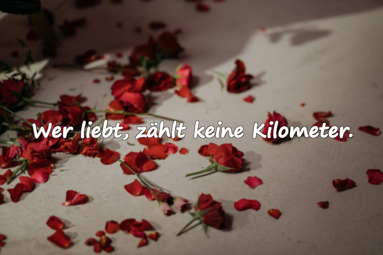 Sprüche über Entfernungen