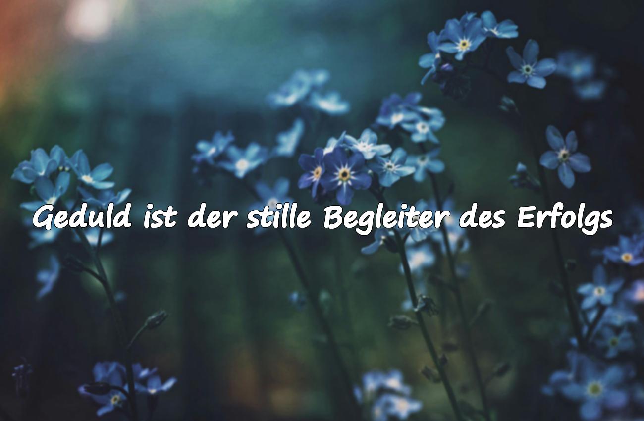 Sprüche über Erfolg