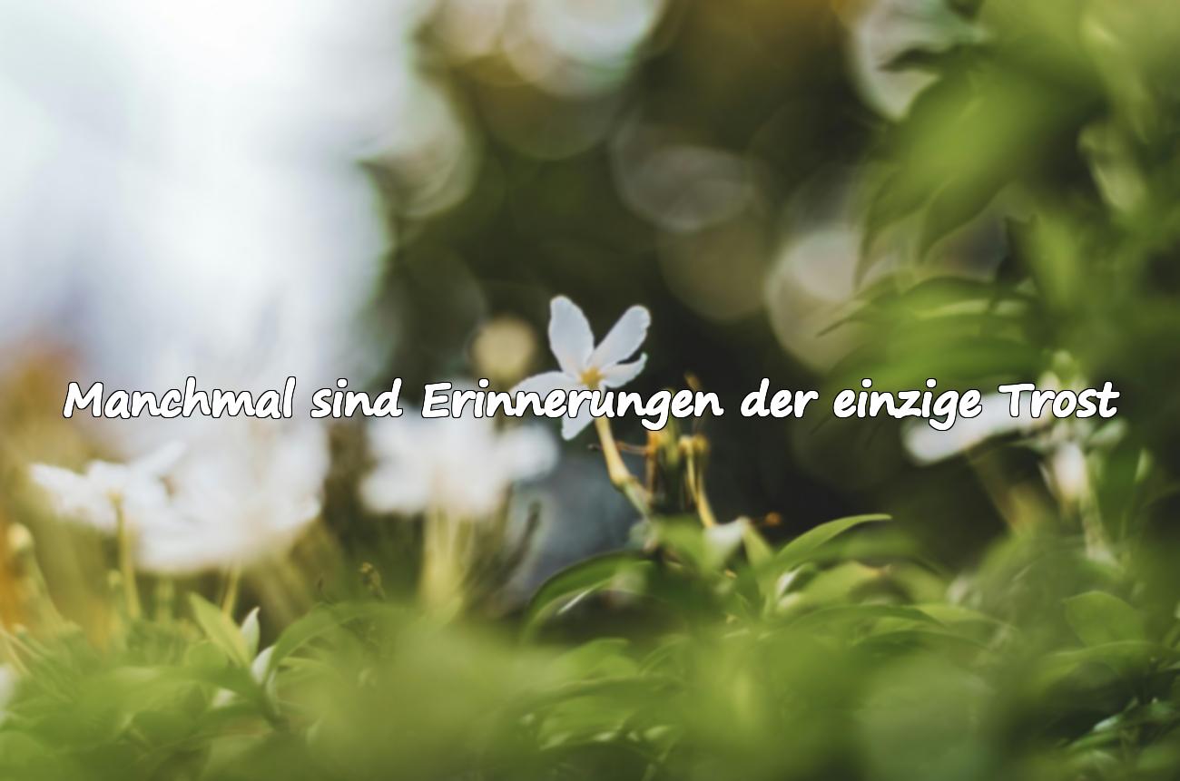 Sprüche über Erinnerungen