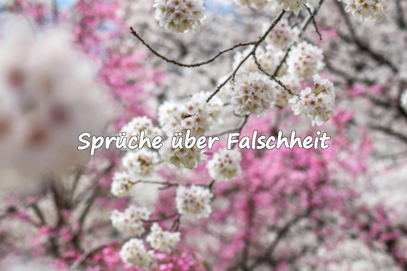 Sprüche über Falschheit