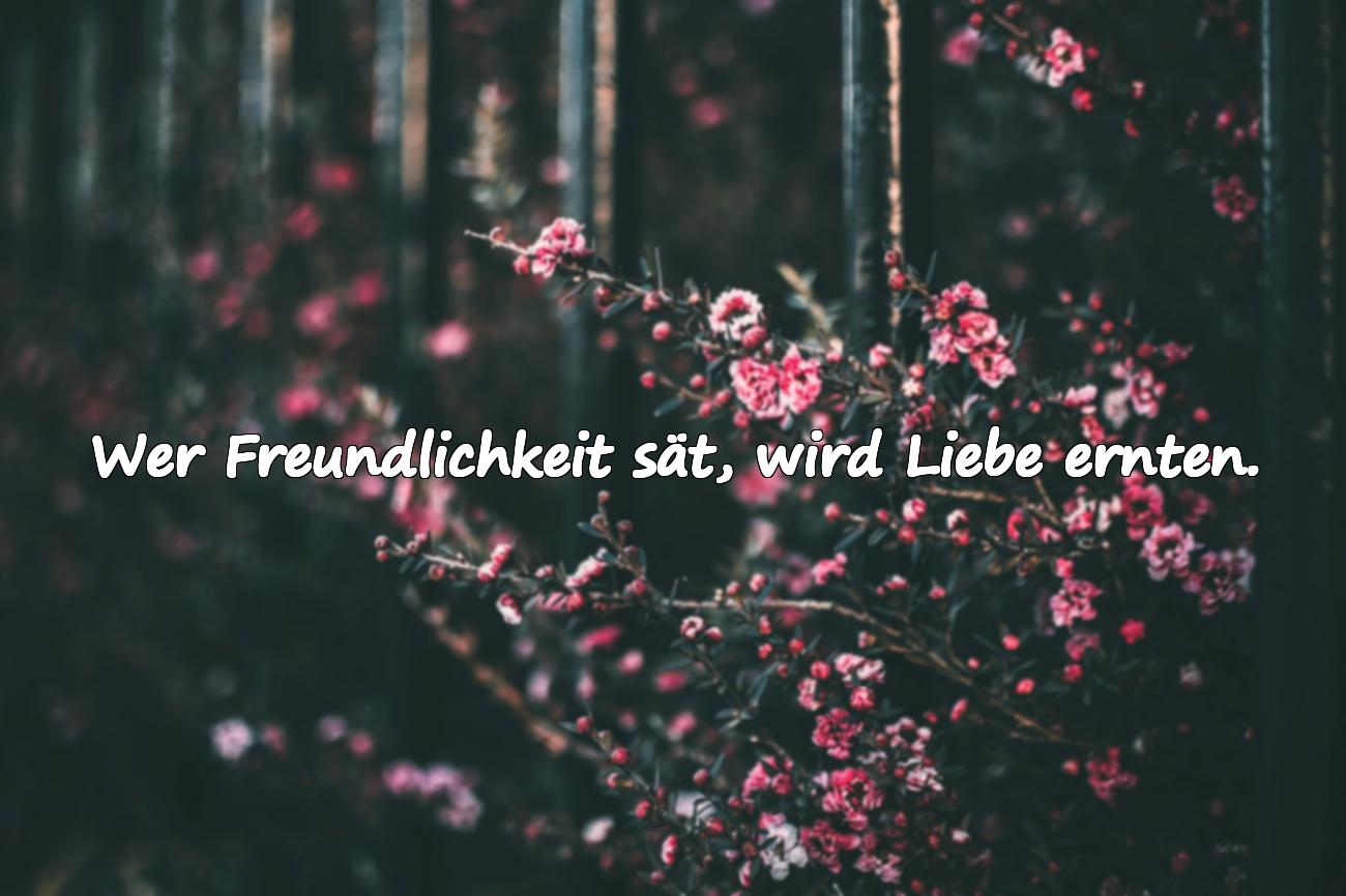 Sprüche über Freundlichkeit