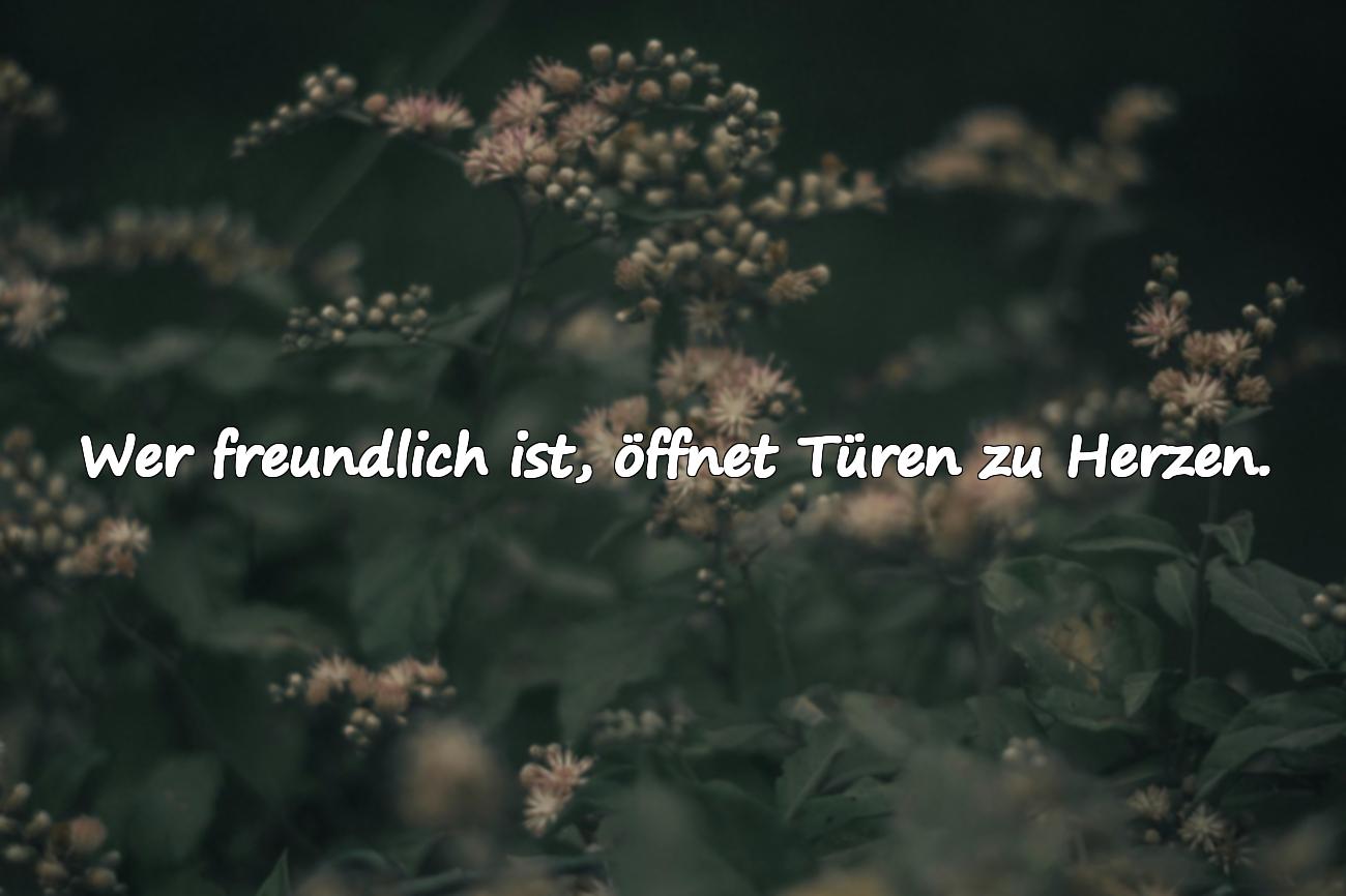 Sprüche über Freundlichkeit