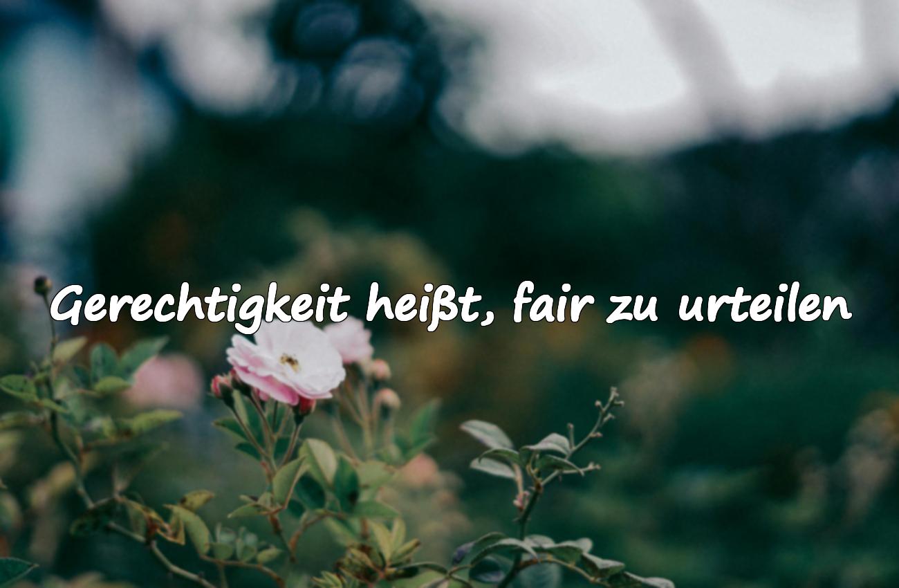 Sprüche über Gerechtigkeit