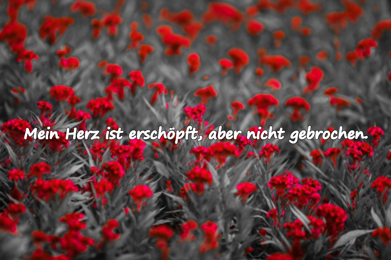 Sprüche über Herzensmüdigkeit