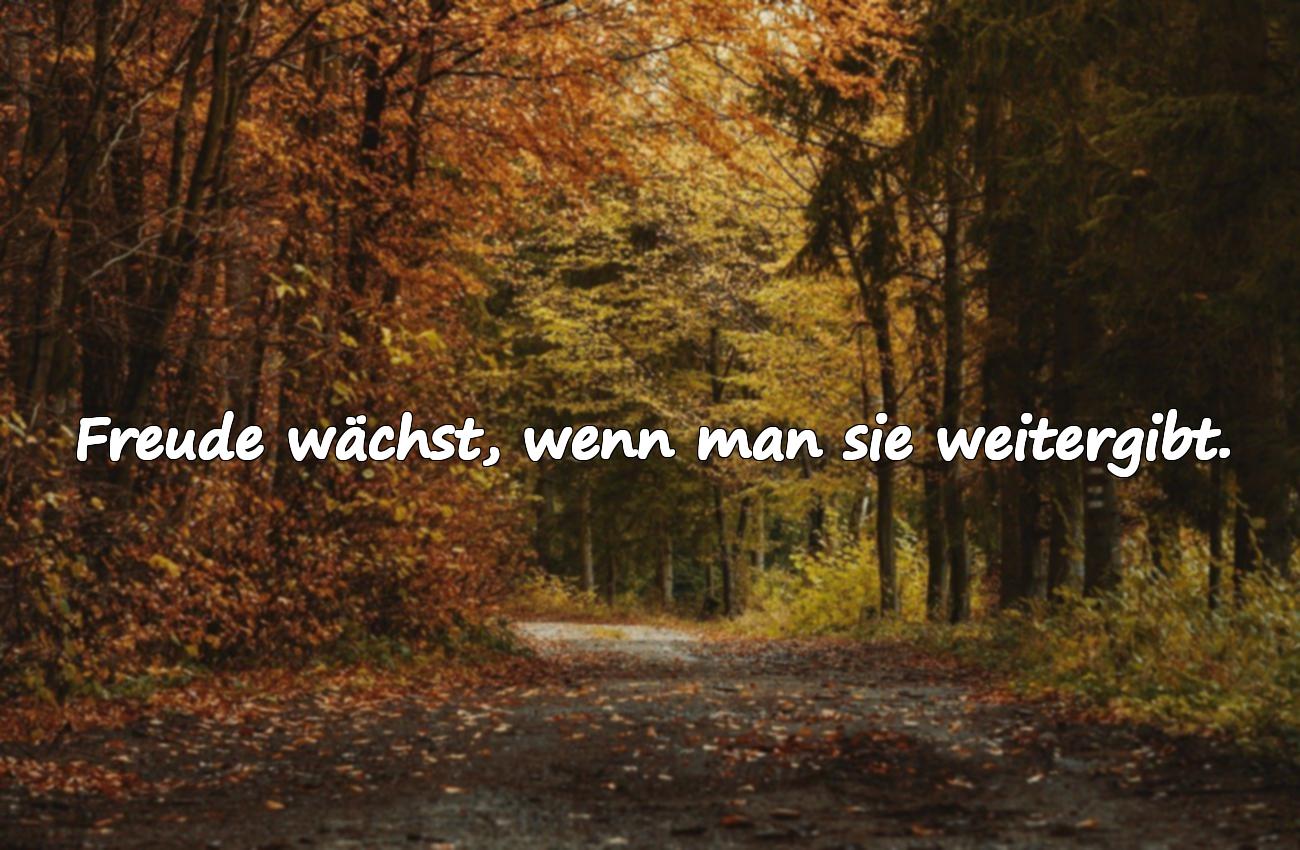 Sprüche über Lächeln, Lachen und Freude