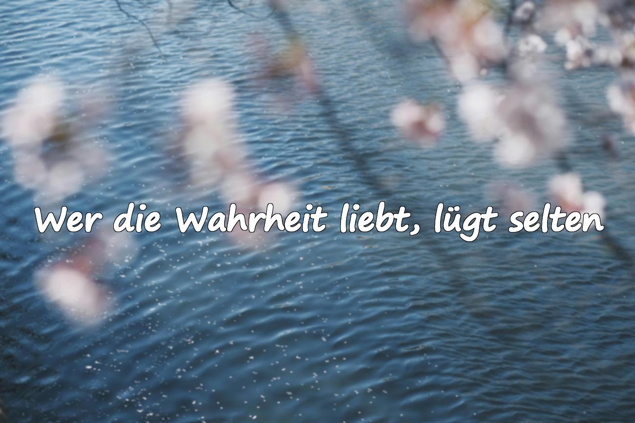 Sprüche über Lügen