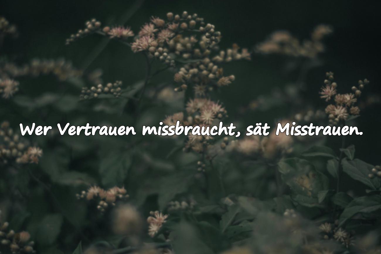 Sprüche über Misstrauen