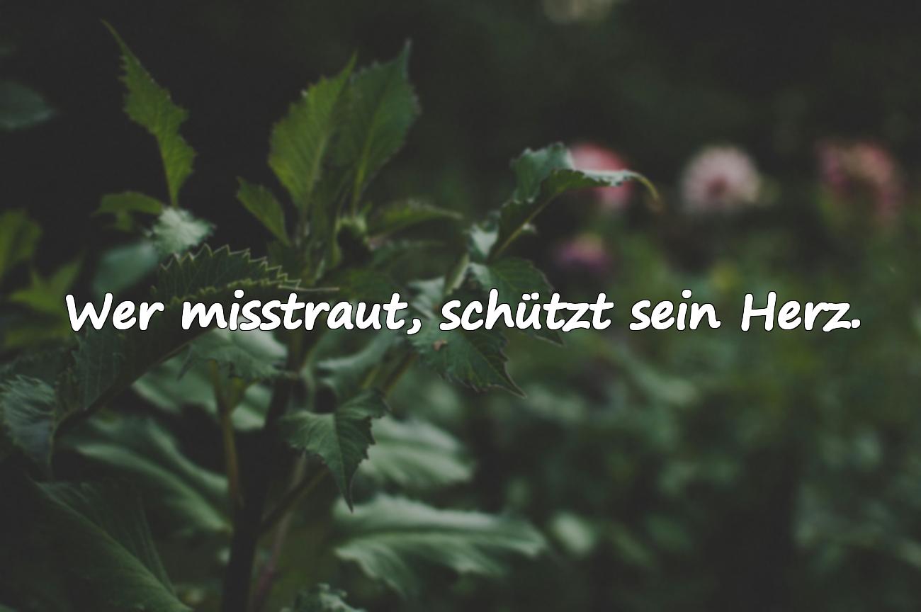 Sprüche über Misstrauen