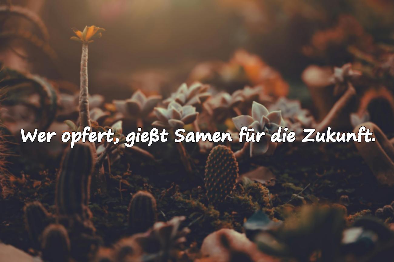 Sprüche über Opferbereitschaft