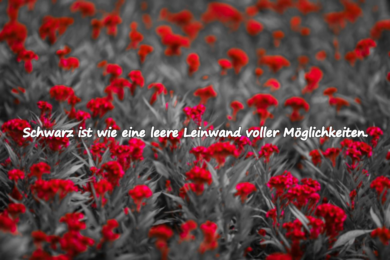 Sprüche über Schwarz