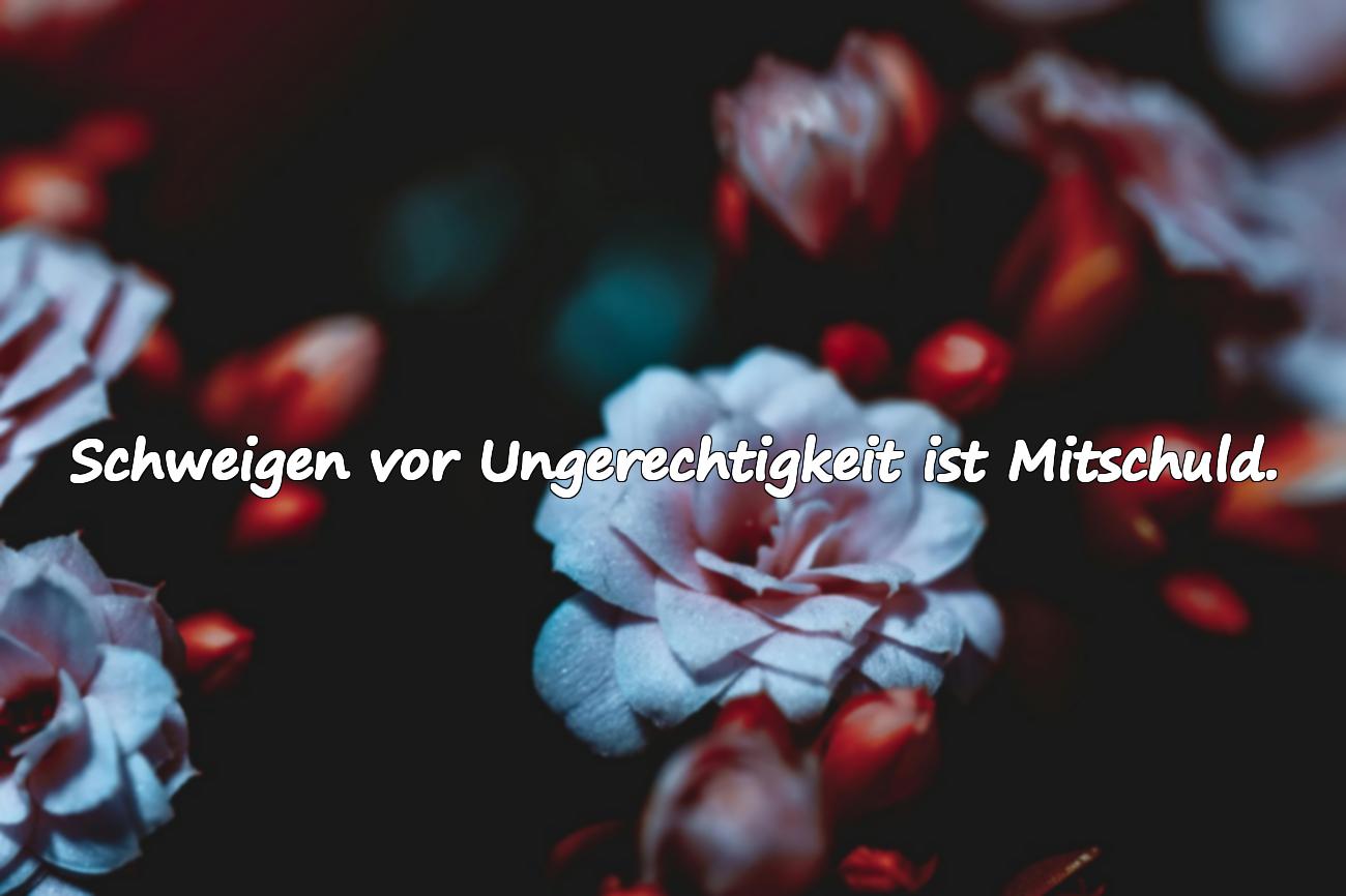 Sprüche über Ungerechtigkeit