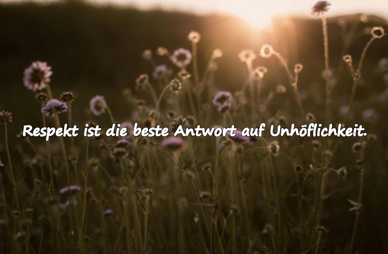 Sprüche über Unhöflichkeit