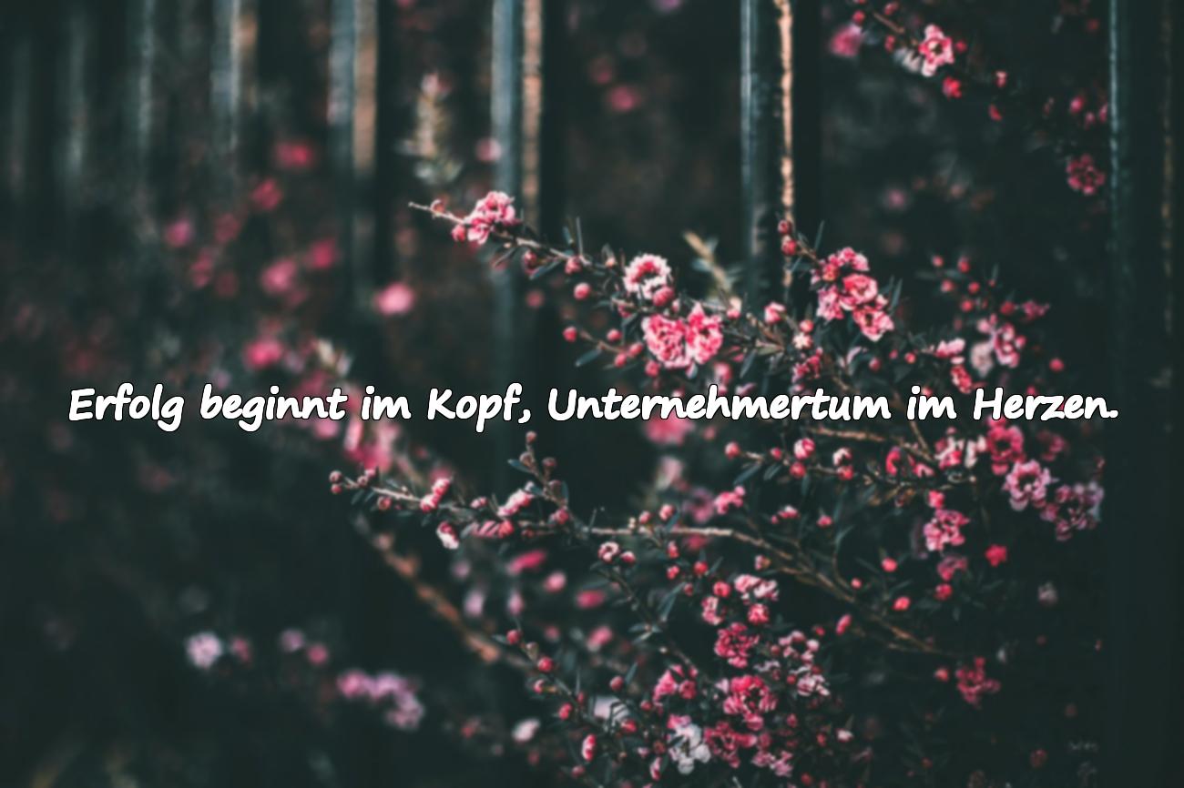 Sprüche über Unternehmertum