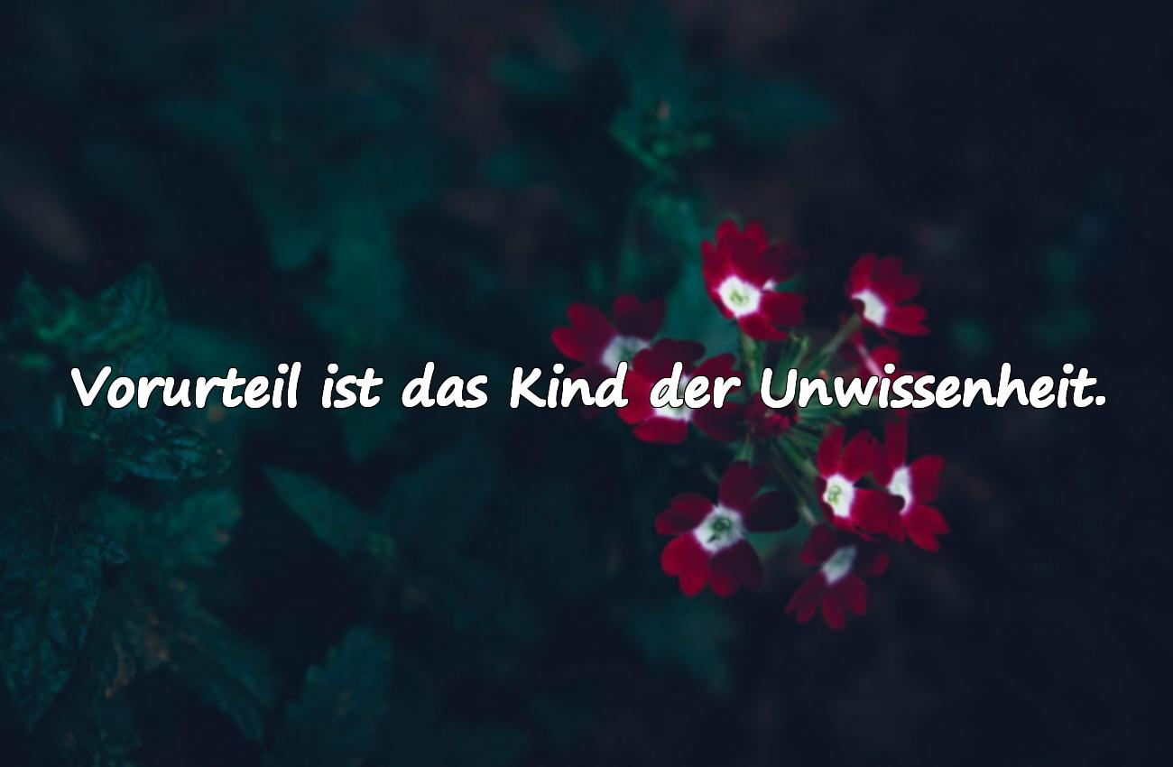 Sprüche Über Vorurteile