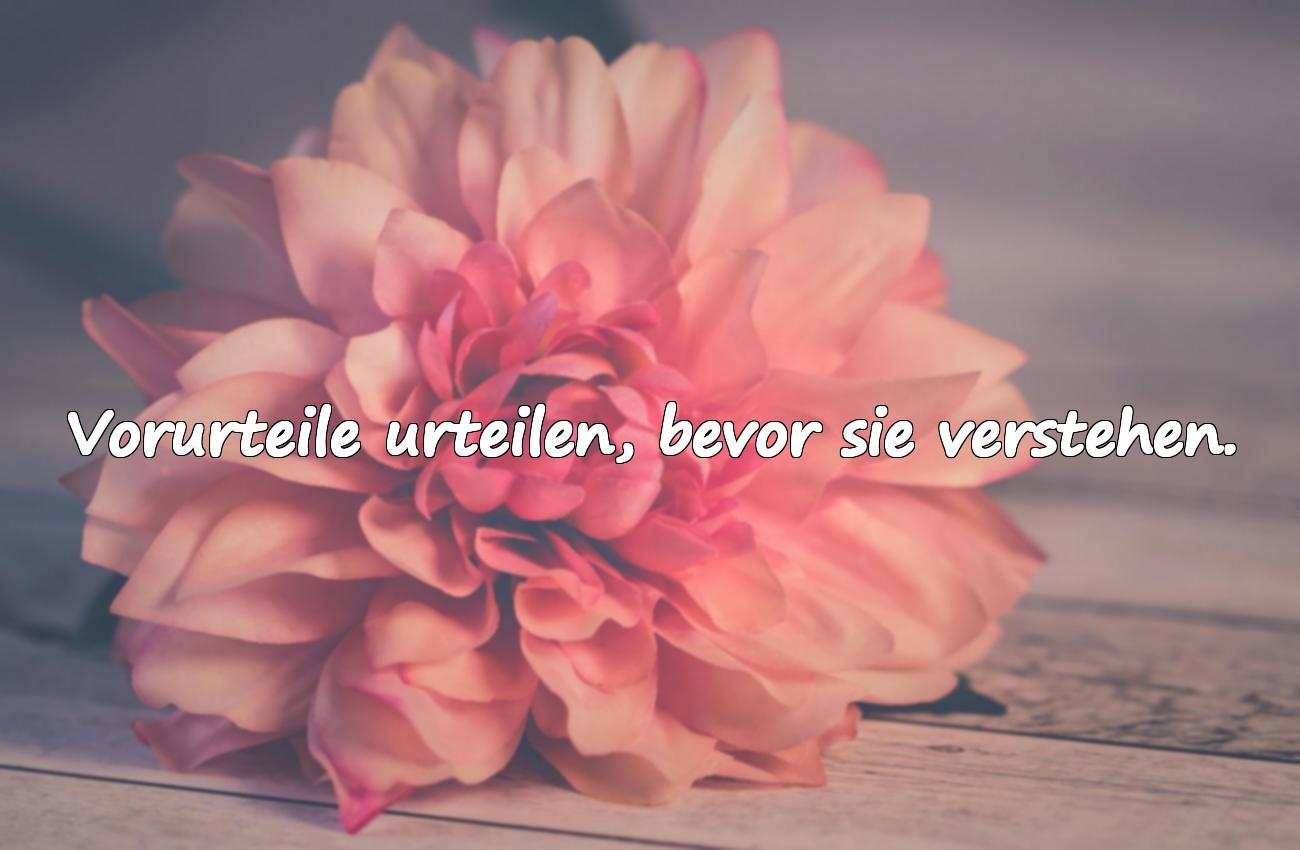 Sprüche über Vorurteile