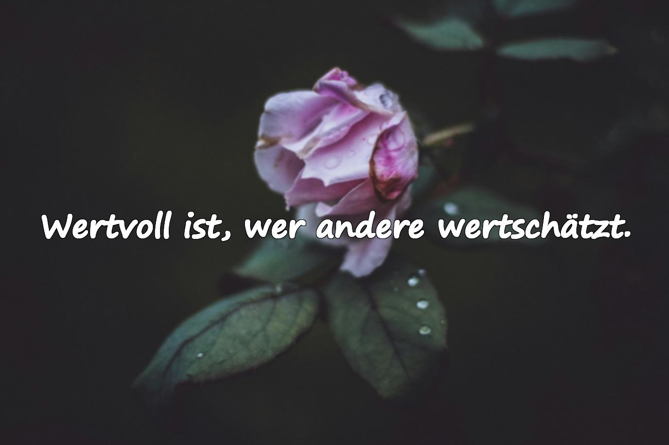 Sprüche über Wert