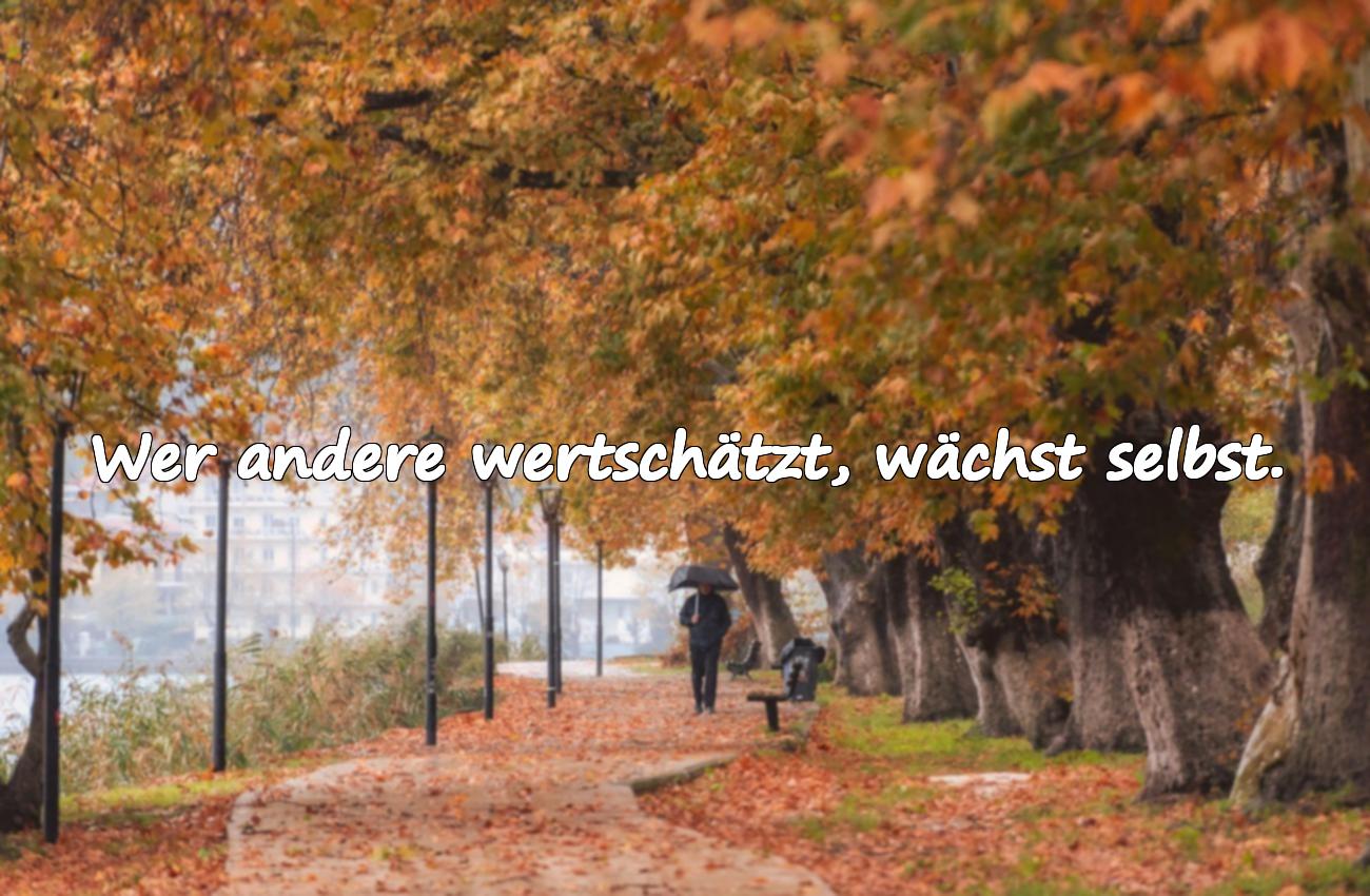 Sprüche über Wertschätzung