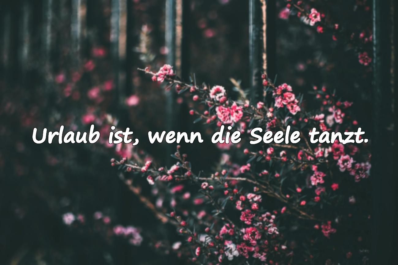 sprüche urlaub