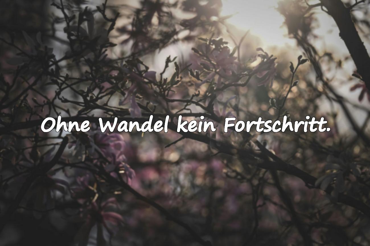 sprüche veränderung