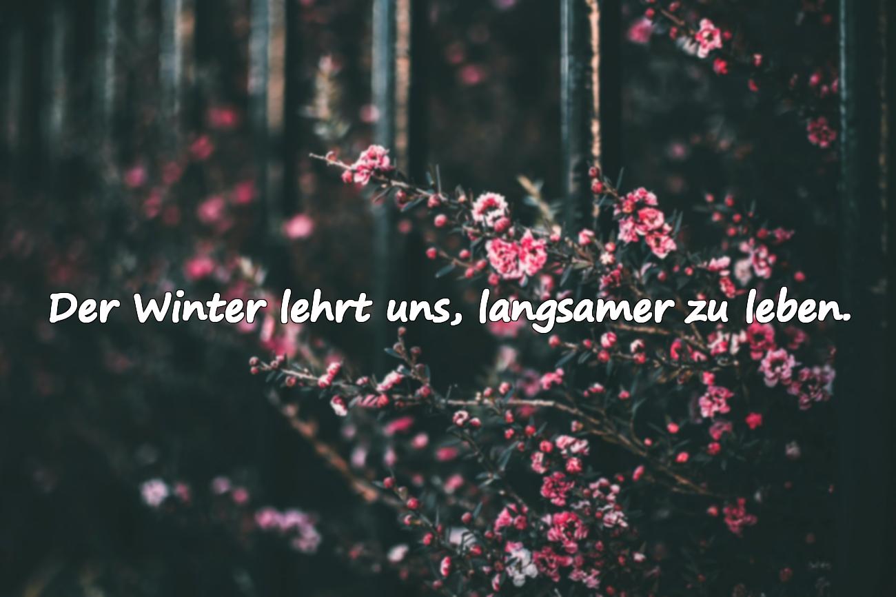 sprüche winter