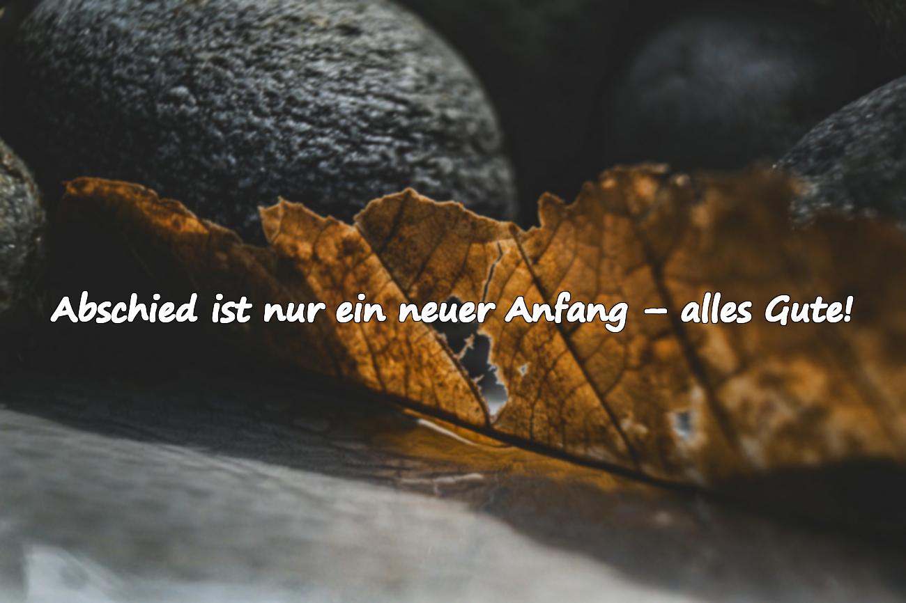 Sprüche zum Abschied für Kollegen