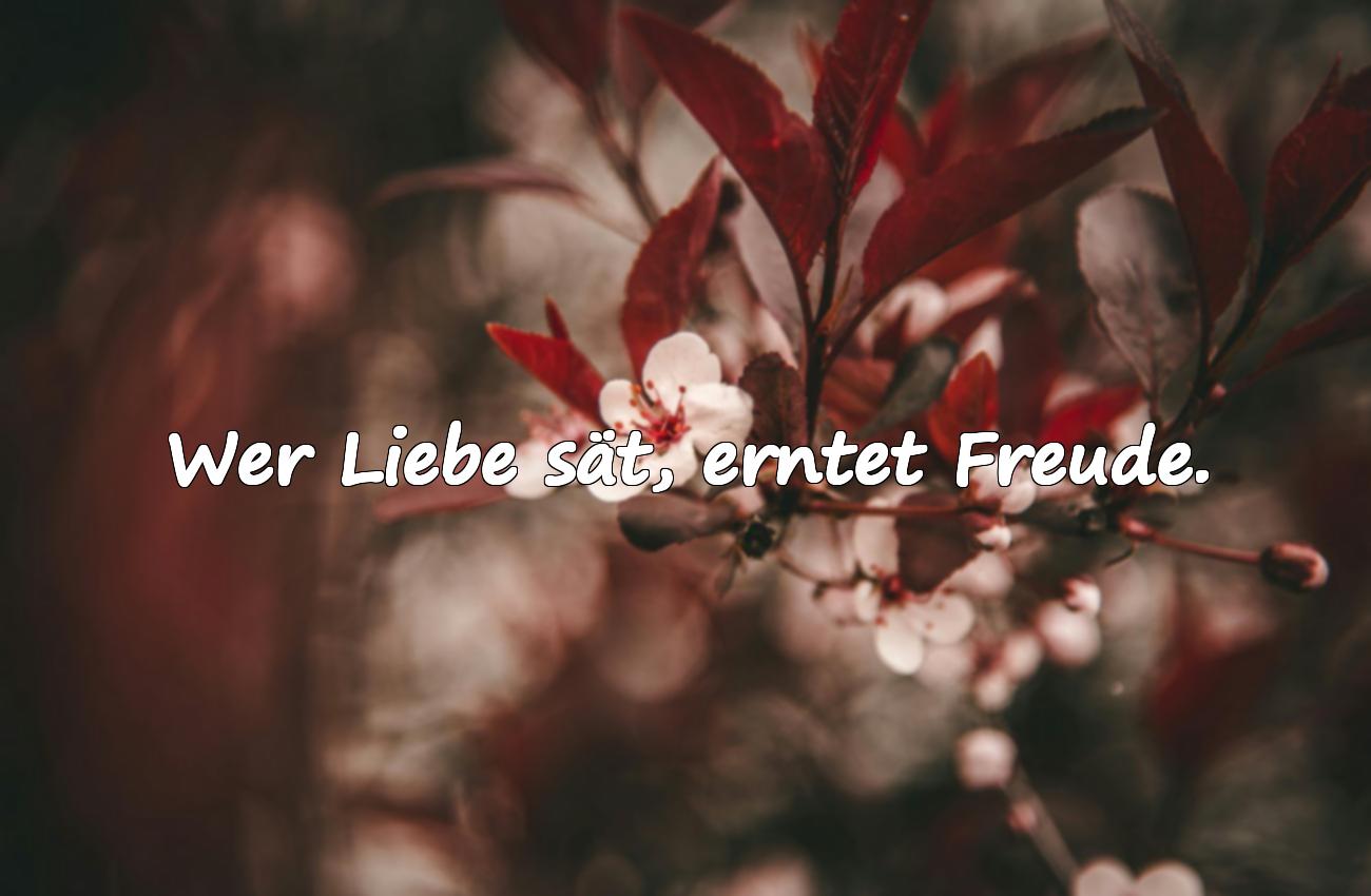 sprüche zum nachdenken