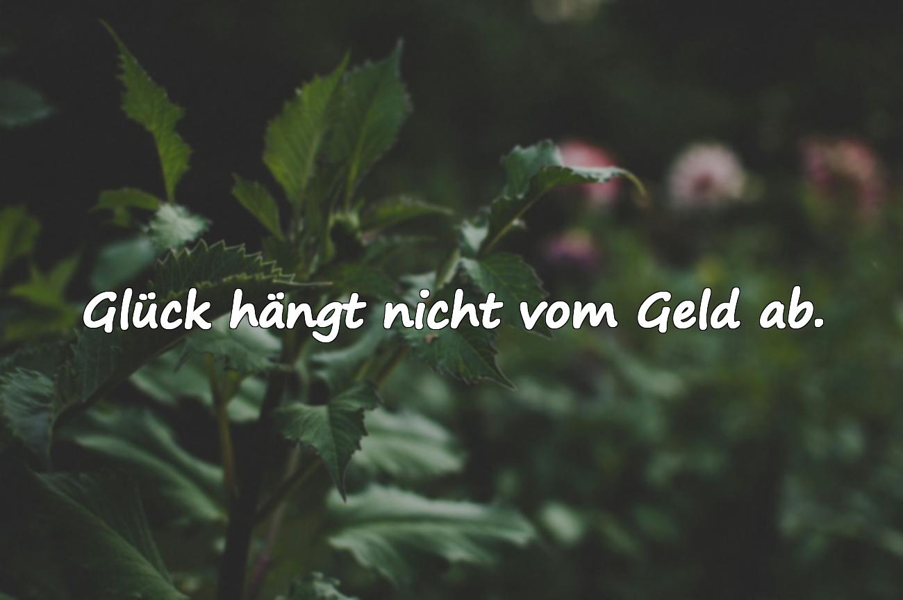 Sprüche zum Nachdenken