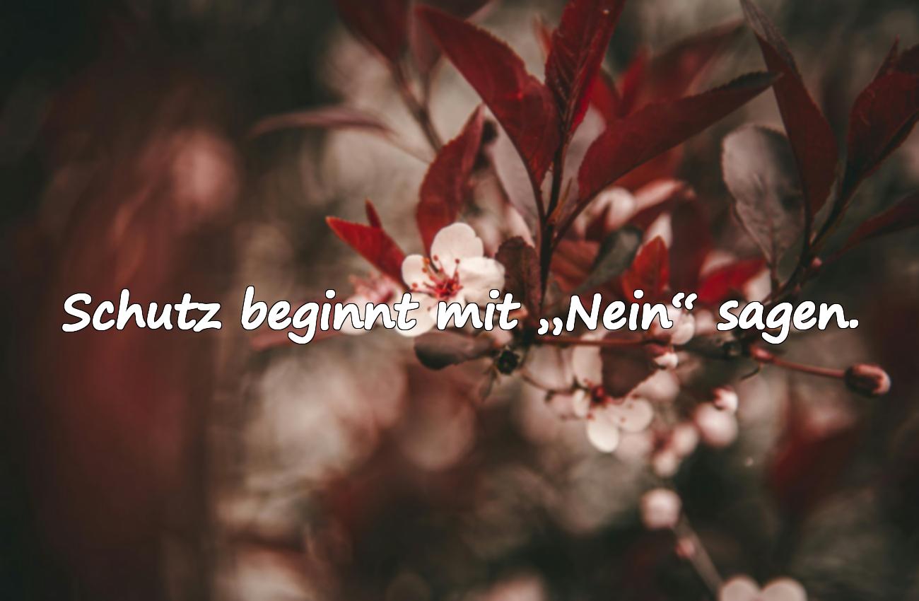 Sprüche zum Schutz vor Menschen in deiner Umgebung