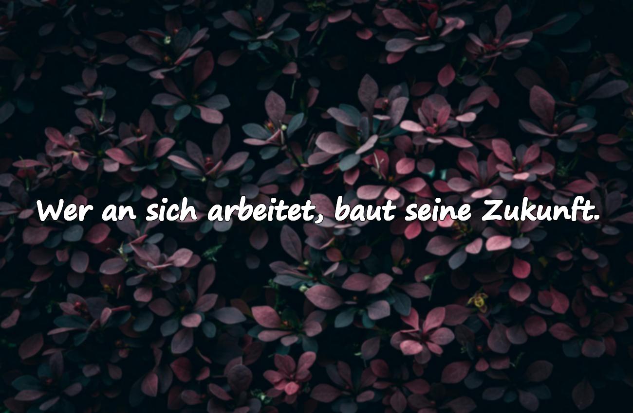 Sprüche zur Persönlichkeitsentwicklung