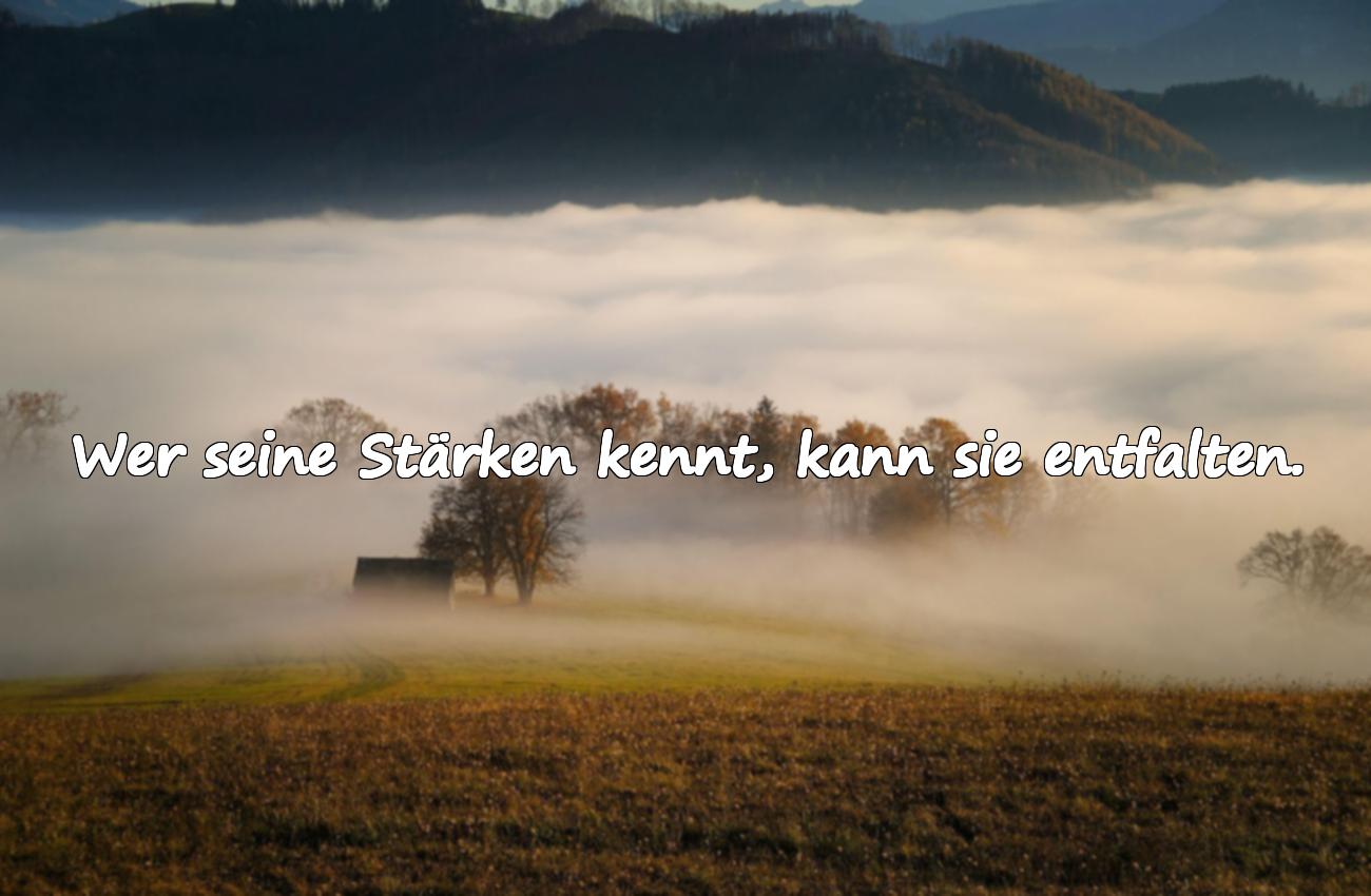 Sprüche zur Persönlichkeitsentwicklung