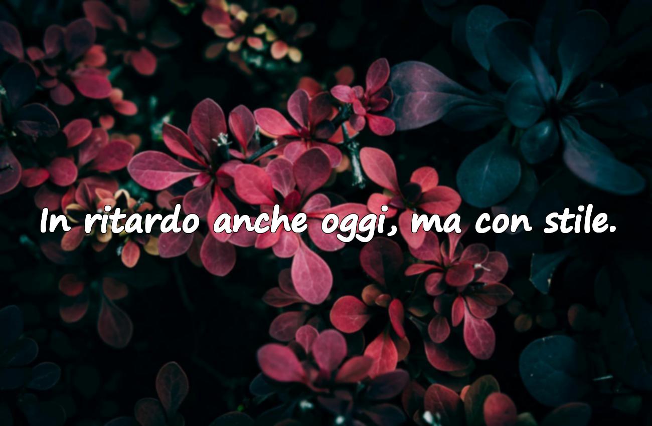 stato whatsapp frasi