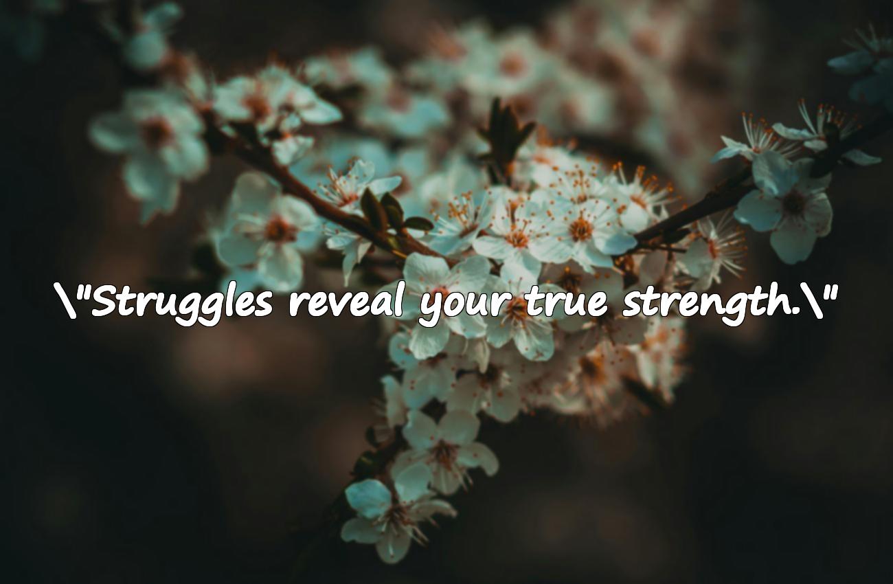 struggle quotes