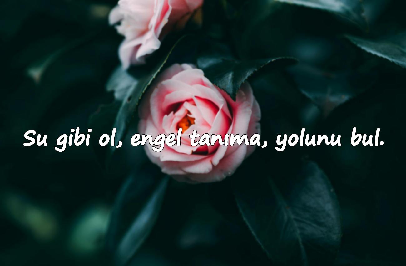 su ile ilgili sözler