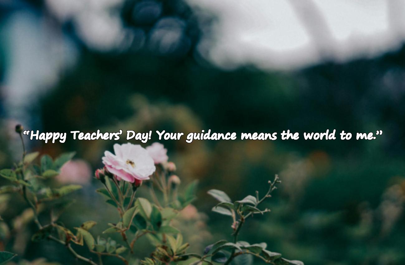 teachers day wishes