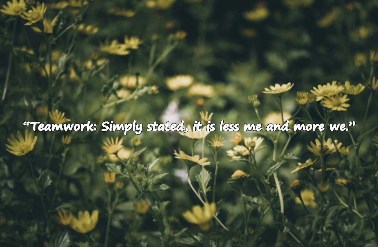 teamwork quotes
