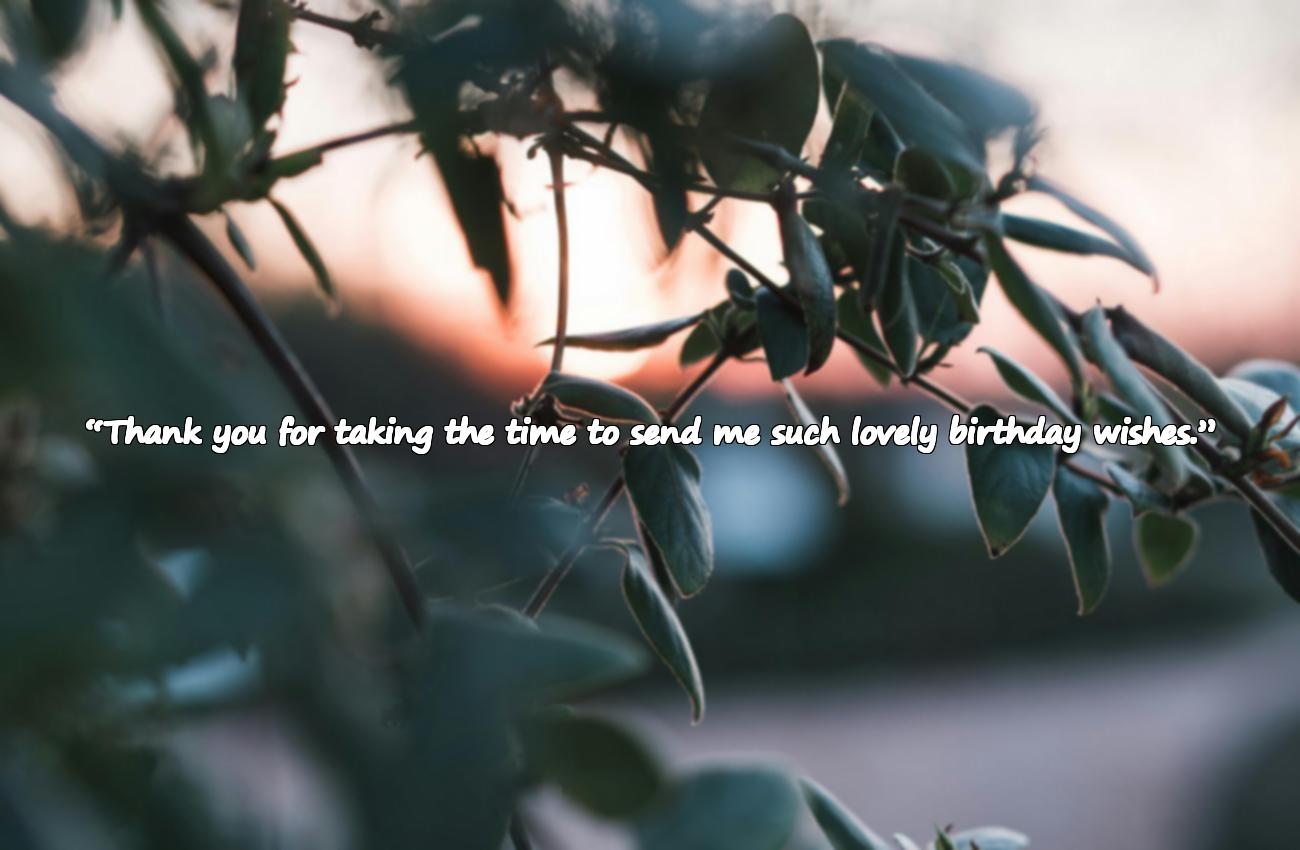 thank you message for birthday wishes