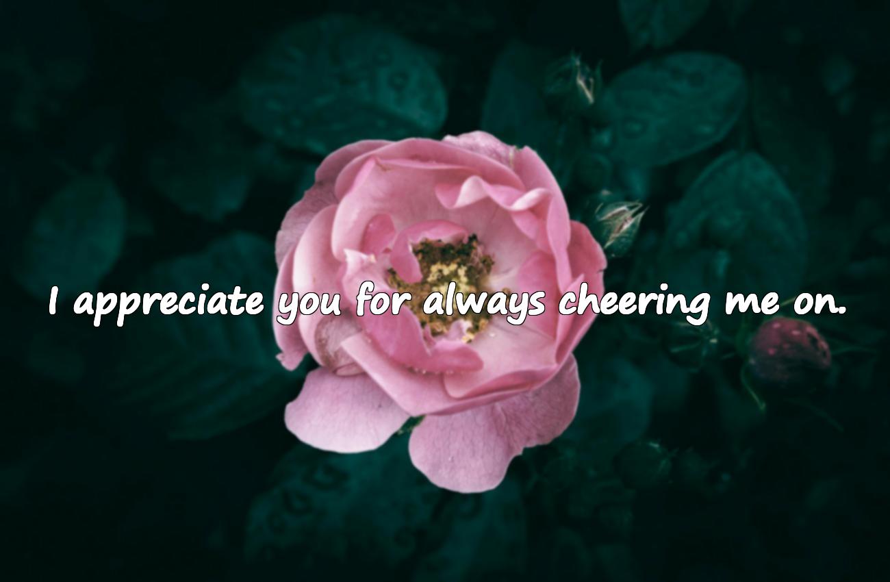 thank you quotes for friends