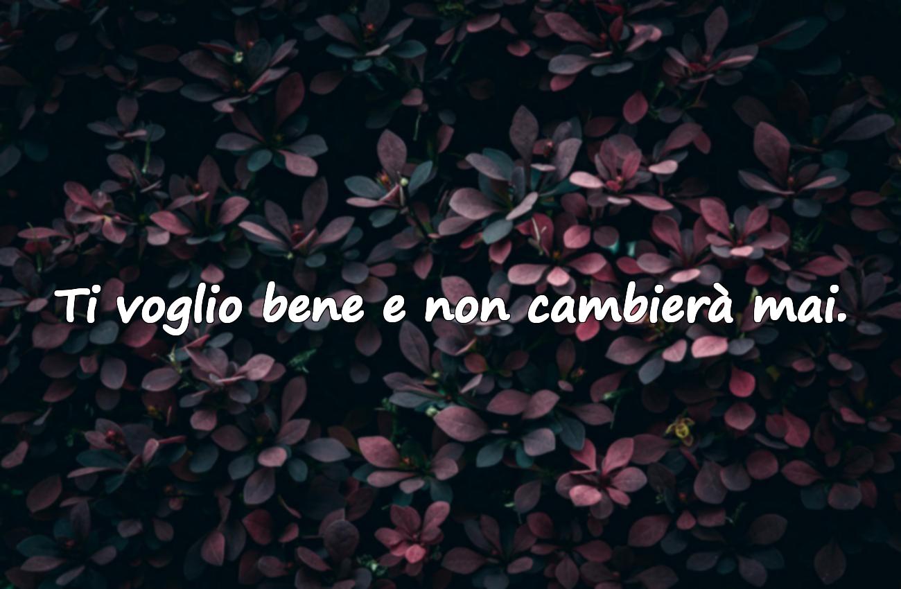 ti voglio bene frasi