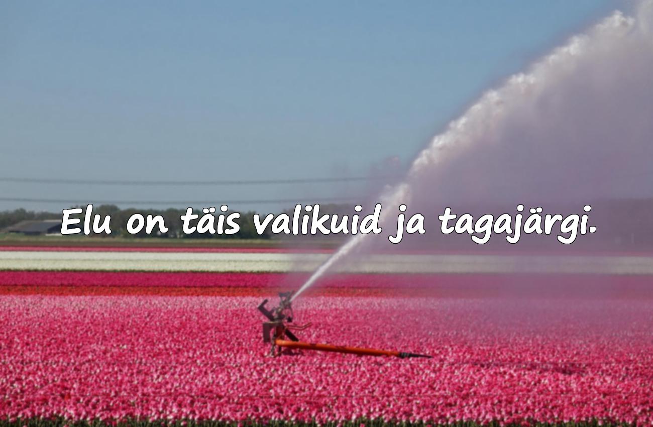 tõde ja õigus tsitaadid