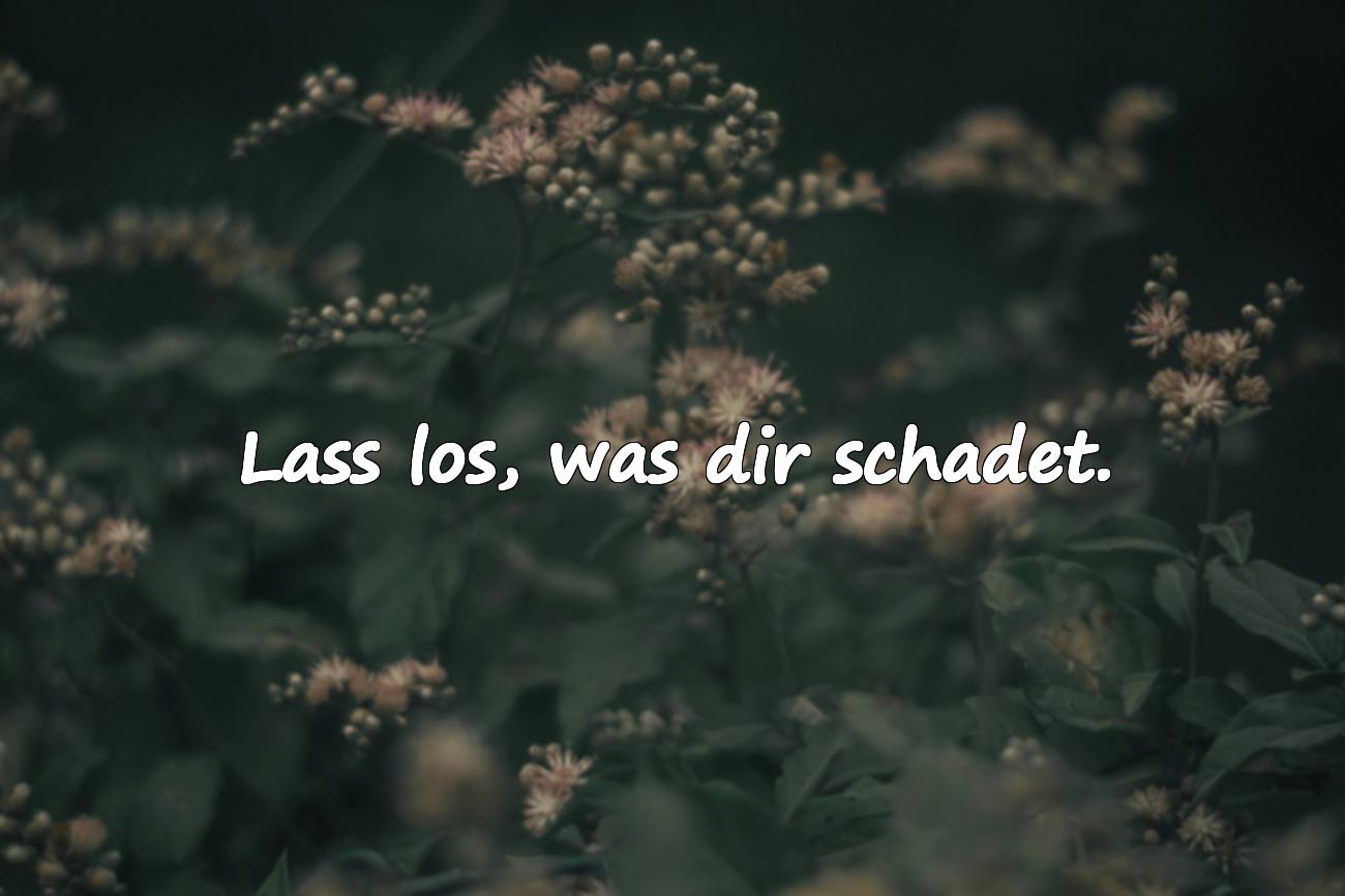 Toxische Beziehung Sprüche