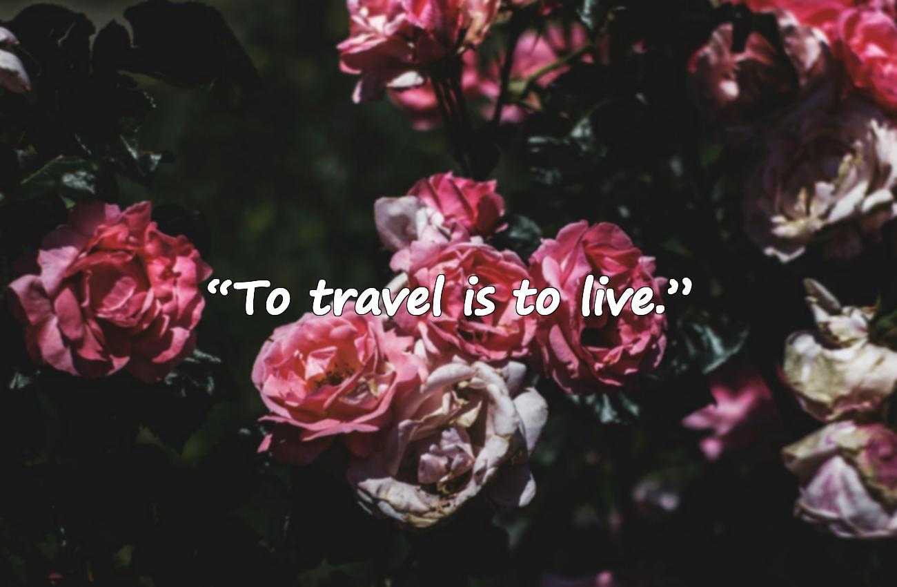 travel quotes