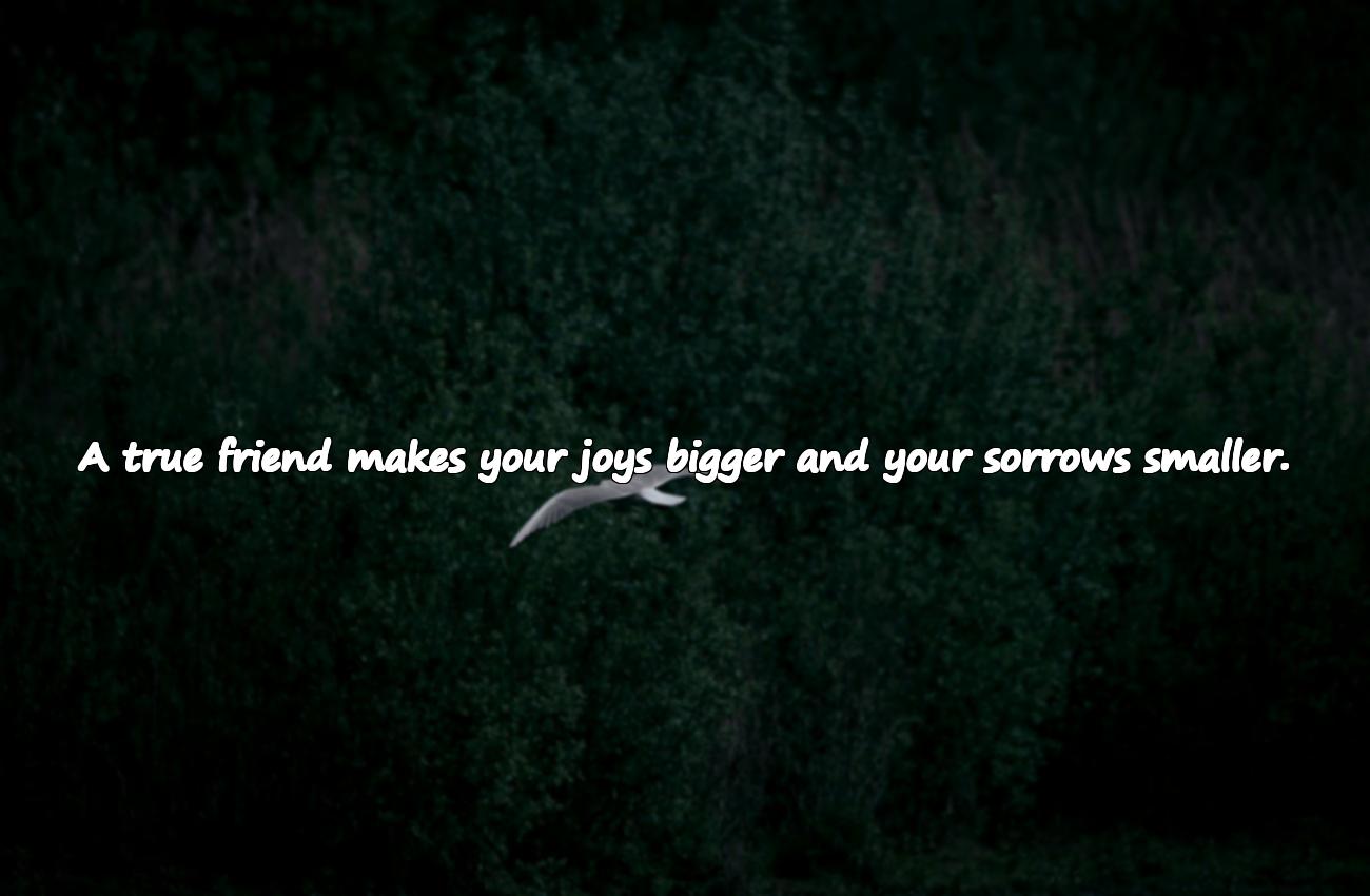 true friendship quotes