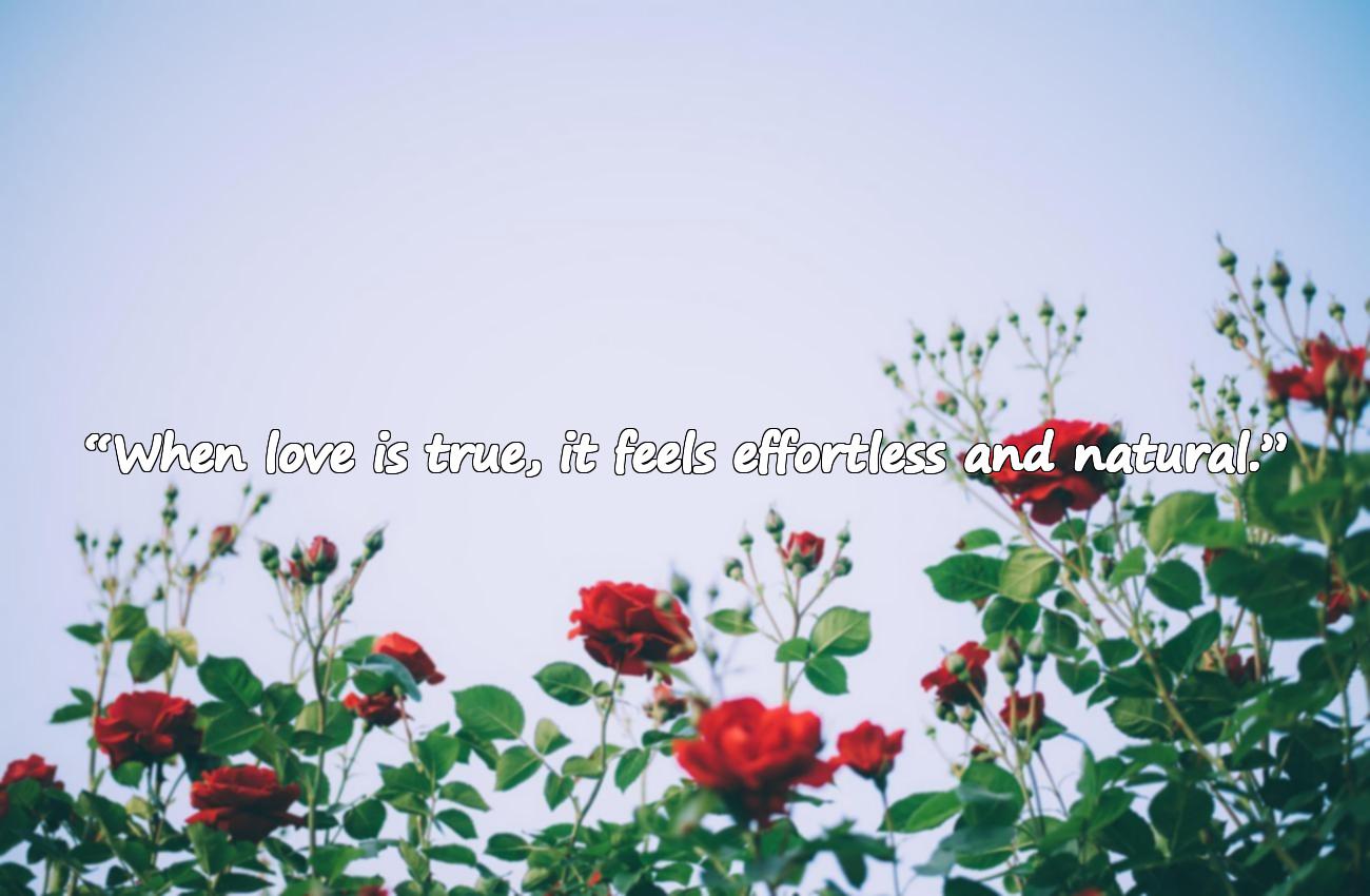 true love quotes