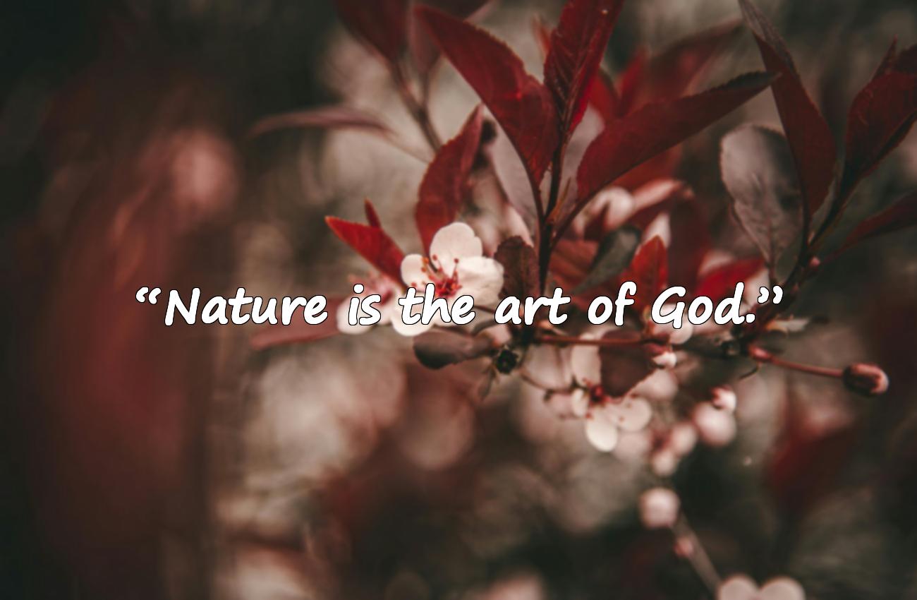 nature quotes