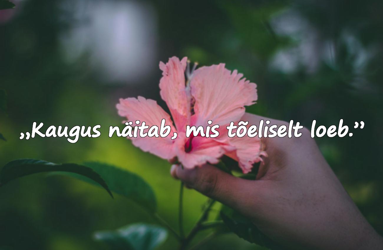 Tsitaadid Distantsidest