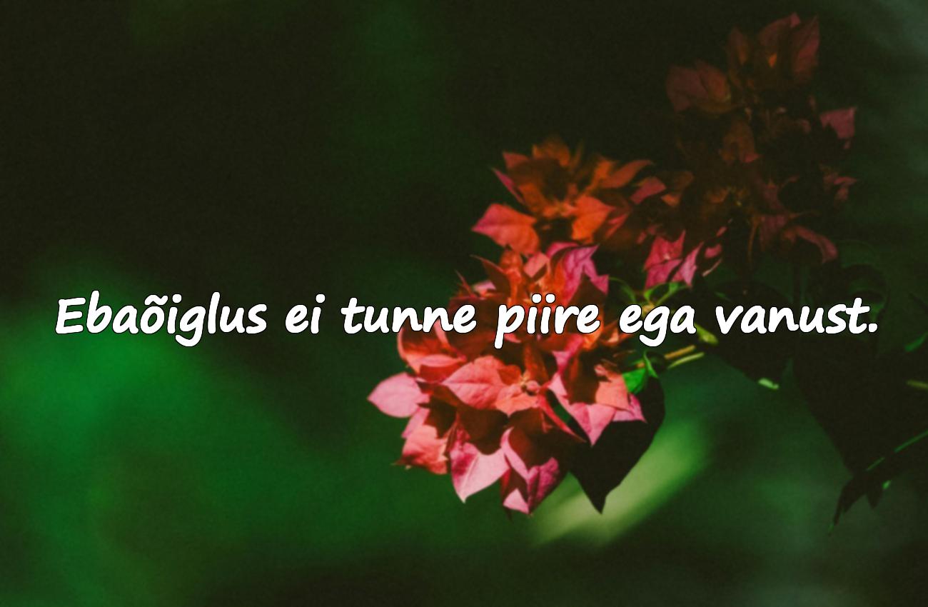 Tsitaadid ebaõigluse kohta